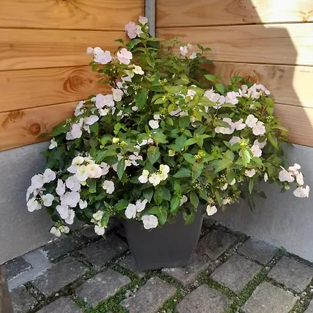 Le De Campagnette Avec Son Jacuzzi Privatif * Saint-Martin-Choquel