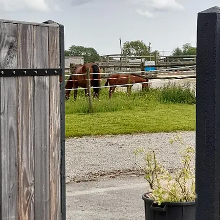 Le De Campagnette Avec Son Jacuzzi Privatif Dom wakacyjny Saint-Martin-Choquel