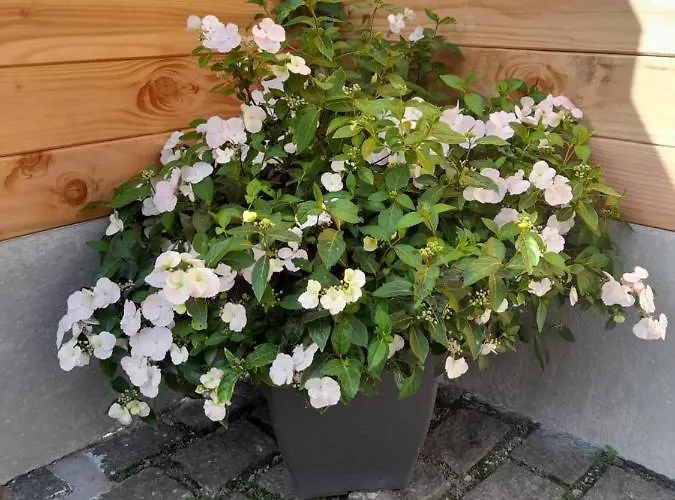 Avec Jacuzzi Privatif * Saint-Martin-Choquel