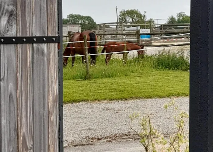 Avec Jacuzzi Privatif Hébergement de vacances Saint-Martin-Choquel